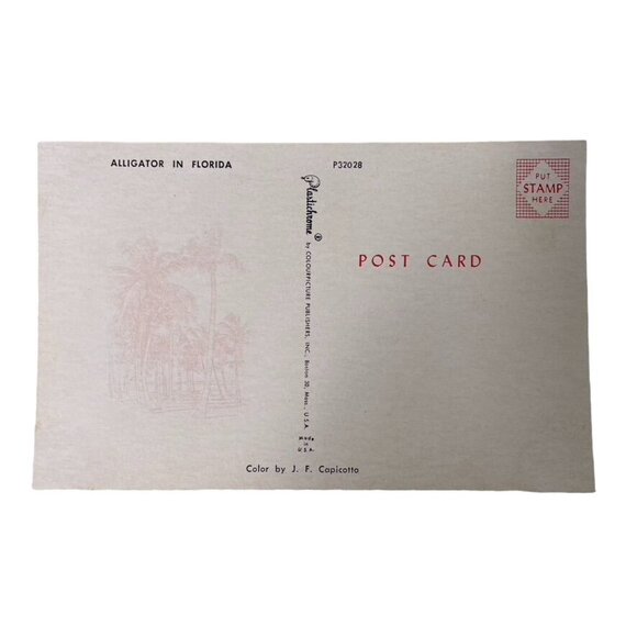 Vintage Postcard Postcard Florida Alligator Waiting for You u - Picture 2 of 5